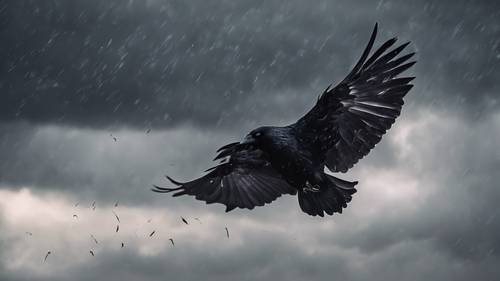 Ravens flying against an overcast, dark gray sky during a storm.