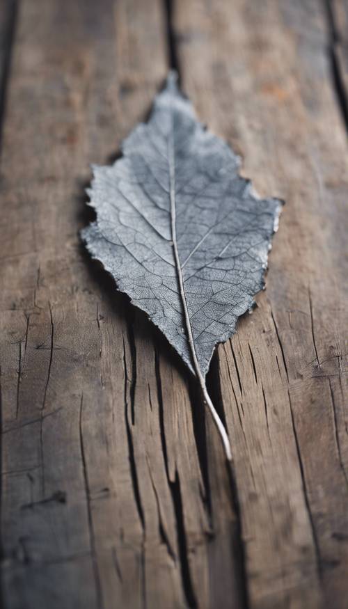 Một chiếc lá xám đơn độc trên chiếc bàn gỗ mộc mạc.