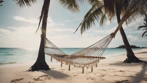 Tempat tidur gantung digantung di antara dua pohon palem di pantai tropis yang sepi.