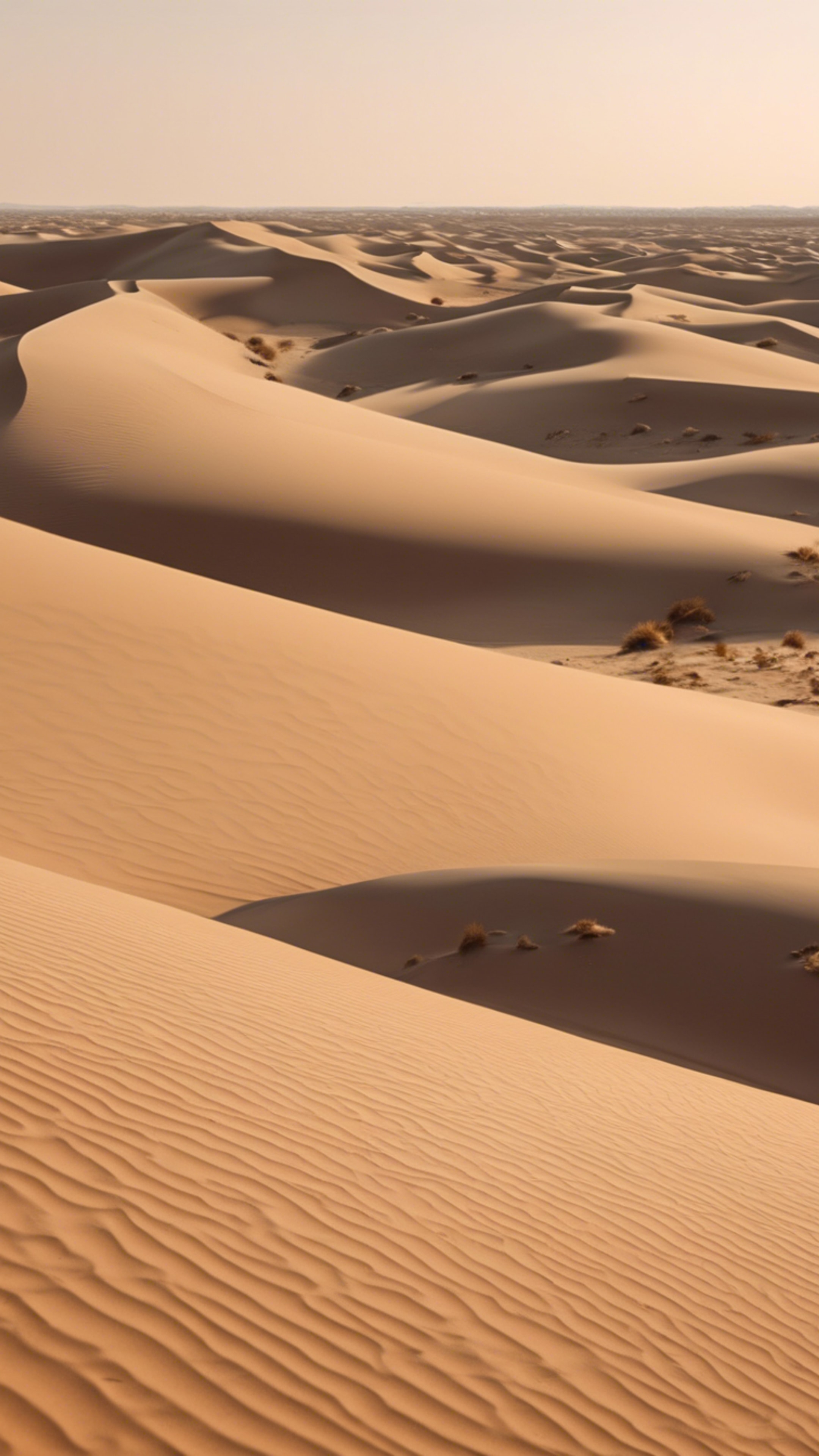 A sea of sand dunes under the hot desert sun, showing off different shades of cool beige.壁紙[a9abeda4731b4762b3d0]