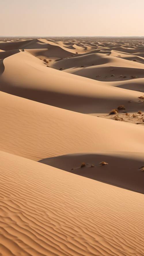 Ein Meer aus Sanddünen unter der heißen Wüstensonne, das verschiedene Schattierungen von kühlem Beige zur Geltung bringt.