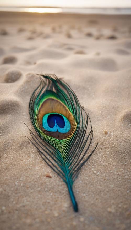 Una piuma di pavone solitaria verde acqua sdraiata su una spiaggia sabbiosa.