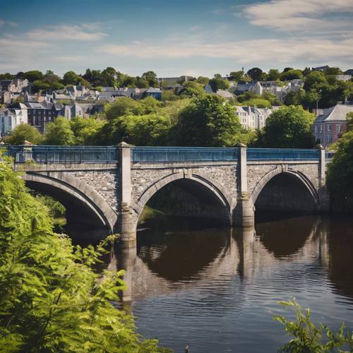 Pemandangan melintasi Jembatan Daly yang ikonik di Cork pada hari yang cerah, memperlihatkan Sungai Lee dan tanaman hijau di sekitarnya.