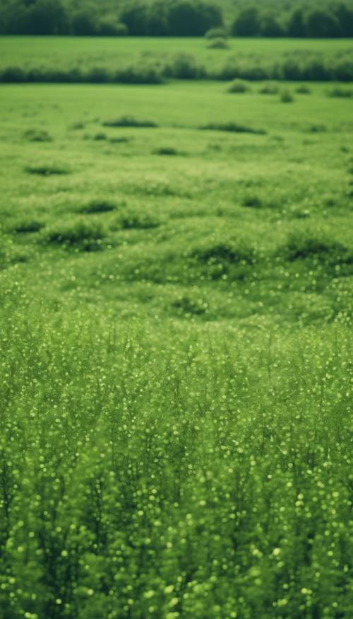 Campo rigoglioso punteggiato di diverse sfumature di verde, che imitano un motivo mimetico alla luce del giorno.