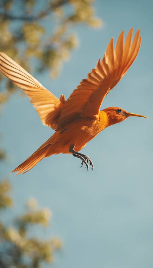 Seekor burung oranye yang megah melebarkan sayapnya lebar-lebar saat terbang melawan langit biru cerah.