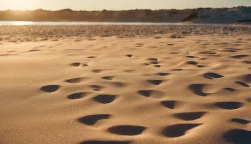 Pantai yang luas dengan terik matahari sore yang menebarkan bayangan panjang, pasirnya menampilkan beragam warna krem ​​​​dalam efek ombre.