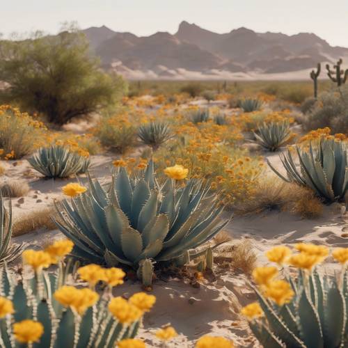 Oasis dipenuhi kaktus Agave, dikelilingi bukit pasir dan tanaman marigold gurun.