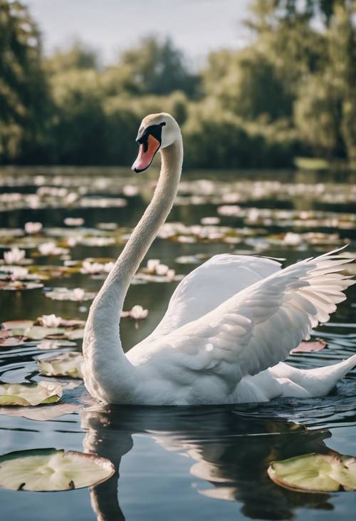 Seekor angsa yang anggun meluncur melintasi danau yang dipenuhi bunga lili air yang sedang mekar.