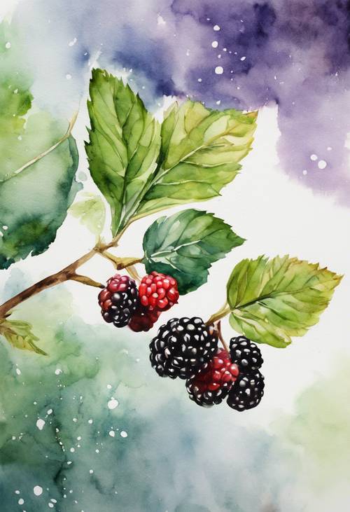 一幅黑莓树枝的水彩画。