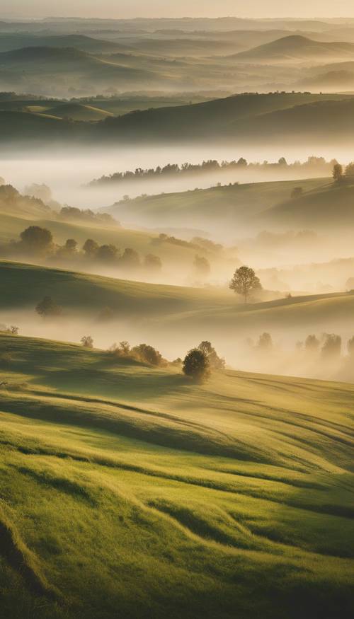 Lembah yang tenang saat matahari terbit dengan kabut pagi menggantung rendah di atas ladang hijau keemasan.