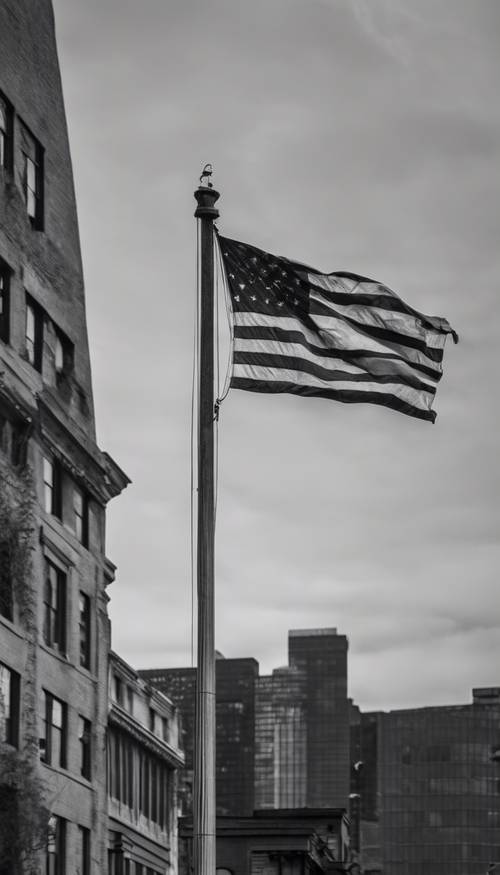 A bandeira americana representada em uma paleta monocromática de preto e cinza escuro.