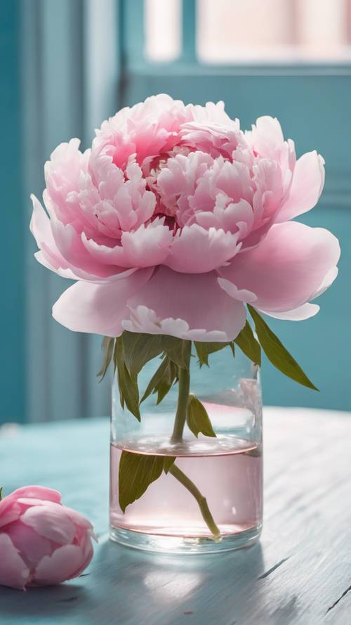 Pastel mavi ahşap bir masanın üzerinde kristal berraklığında bir vazoda pembe bir şakayık çiçeği.