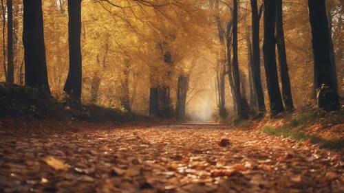 Una pittoresca scena autunnale con le foglie che cadono su un sentiero nel bosco.