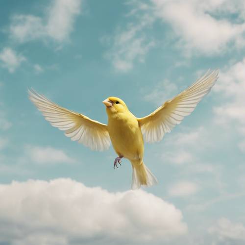 Um canário amarelo pastel voando em um céu azul claro e nublado.