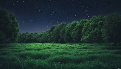 Un campo de frondosos árboles verdes, bajo un cielo nocturno azul marino lleno de estrellas.