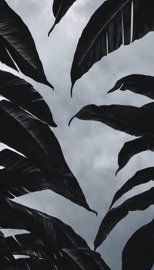 Artystyczny obraz czarnych liści bananów kołyszących się na tle burzliwego nieba.