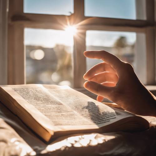 Eine Hand hält ein Buch gegen ein Fenster, wobei die Sonne die Seiten beleuchtet.