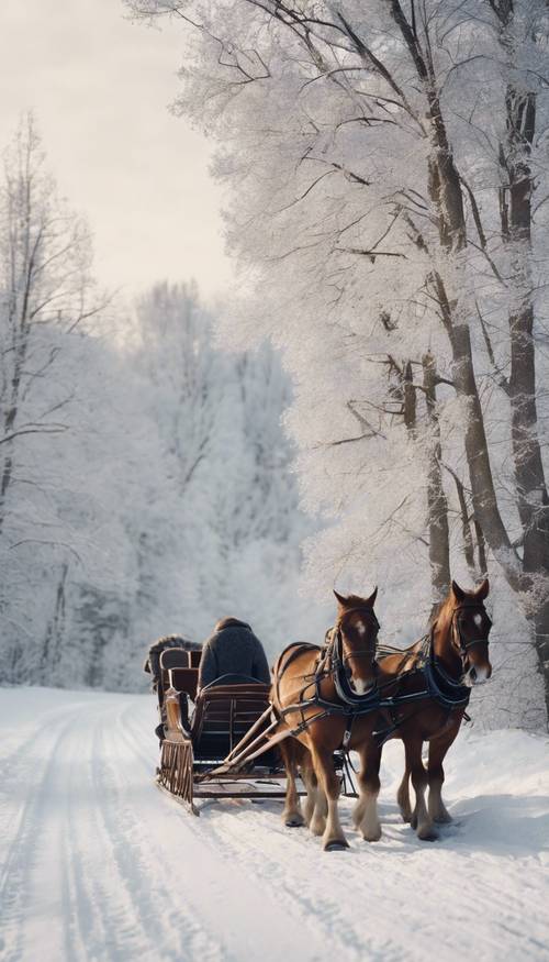 Una rappresentazione nostalgica di una gita in slitta trainata da cavalli attraverso una campagna invernale durante il periodo natalizio. Sfondo [64ac58591f9f4395b690]