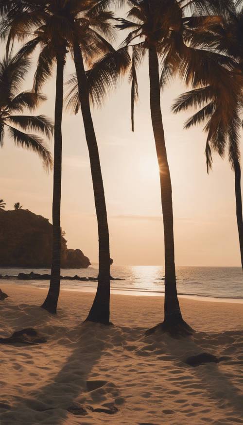 Устаревшая фотография безмятежного пляжа во время заката с покачивающимися на ветру пальмами.