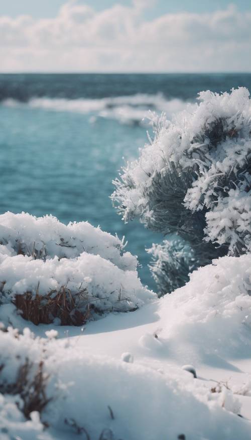 Uma paisagem costeira durante o inverno, onde o mar azul e fresco encontra a costa branca e nevada.