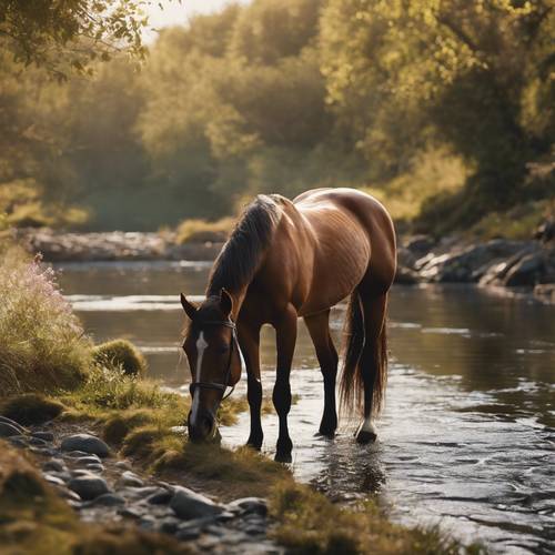 Pemandangan tenang seekor kuda yang sedang merumput dengan damai di samping sungai yang mengoceh.