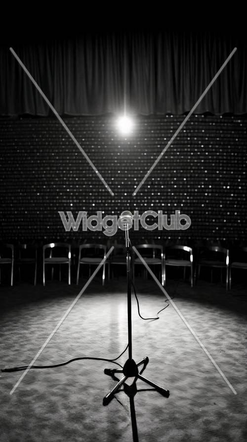 Spotlight on Microphone with Empty Chairs on Stage Background Tapeta [4be344f12413450694a3]