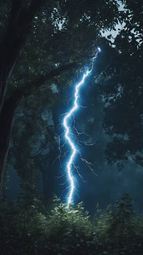 特写镜头：一道蓝色闪电照亮了一片黑暗的森林。