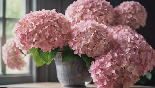 A large vase filled with freshly picked pink hydrangea blossoms.
