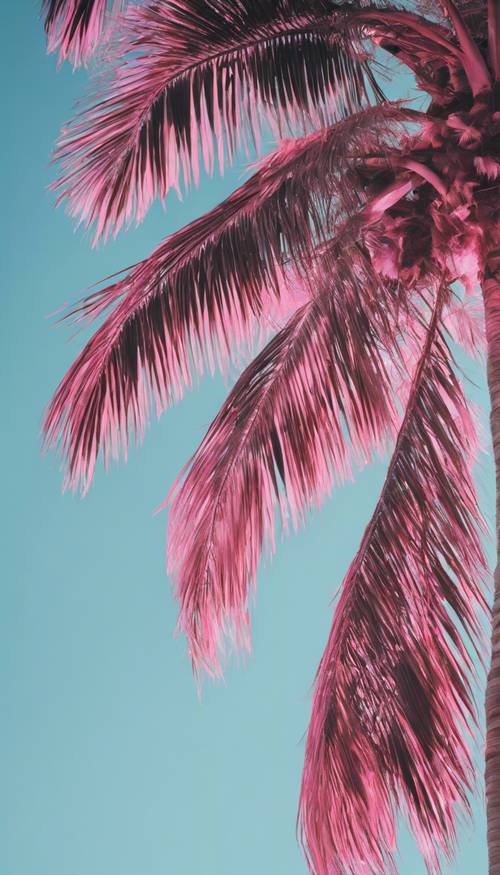 Uma palmeira rosa neon tendo como pano de fundo um céu azul claro.