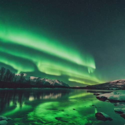 Aurora borealis hijau sejuk di langit malam.