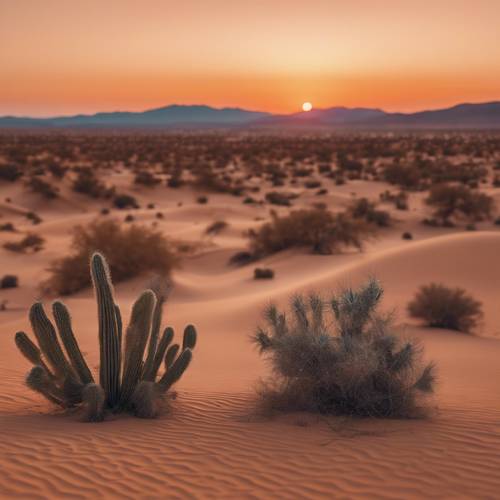 A desert landscape under a light orange sky at twilight.