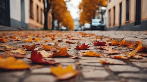 ヨーロッパの歴史ある街で、静かな細道に落ちるカラフルな秋の葉っぱ