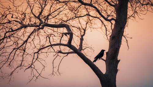 A lone black crow emoji standing on a leafless tree in the twilight.