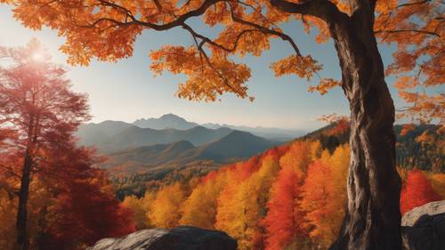 A mountain scene with September fall foliage in vivid shades of orange, yellow, and red