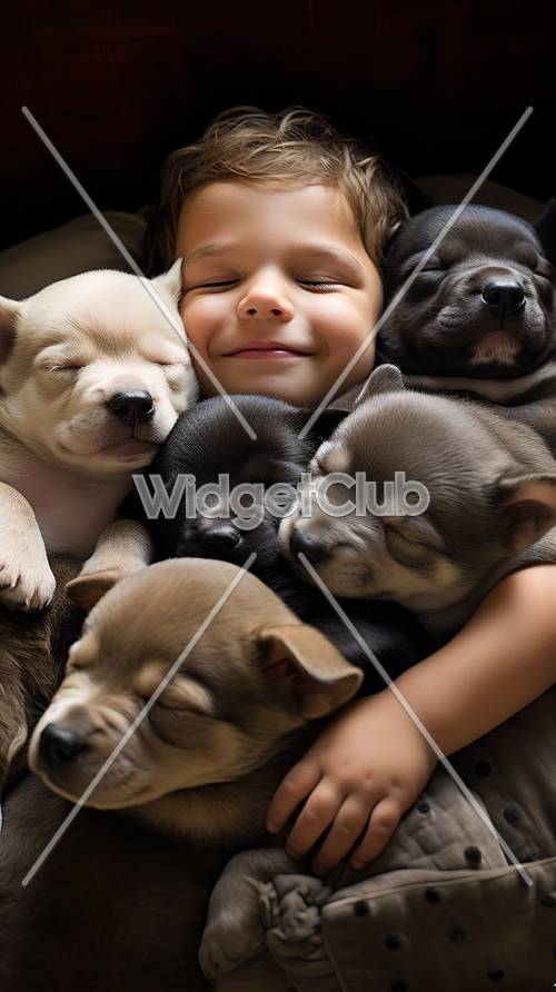 Сонные щенки и счастливый мальчик