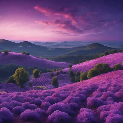 Krajobraz fantasy ze wzgórzami jagodowymi pod fioletowym niebem o zmierzchu.