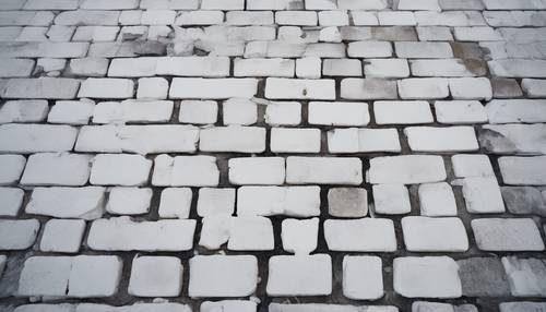 An overhead view of a white brick pathway on a rainy day.