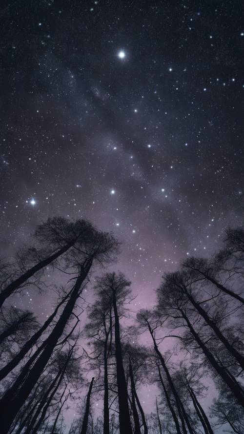 תמונה מדהימה של קבוצת הכוכבים Cassiopeia על רקע של יער בצללית.