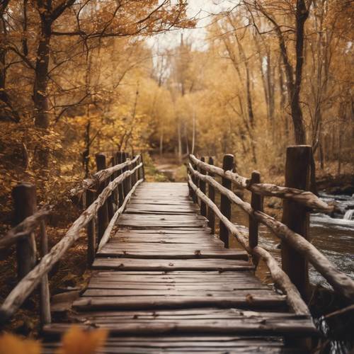 Деревенский деревянный пешеходный мост через тихий ручей в живописном осеннем лесу.