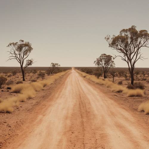 An Australian outback scene, with a dusty dirt road stretching to the horizon through vast, barren plains, under a scorching midday sun.