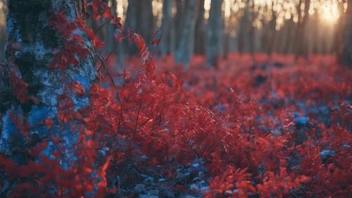 夕暮れ時の森で見られる赤と青の迷彩