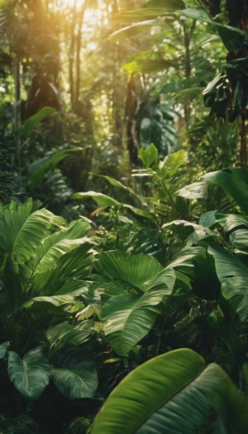 A lush green tropical forest, with a great diversity of plant life under the golden sunlight filtering through the staggered leaves.