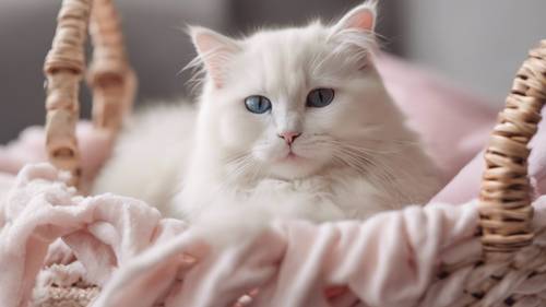 قطة راغدول بيضاء تعتني بقطتها الصغيرة بلطف في سلة مريحة مليئة بالوسائد الوردية الناعمة.