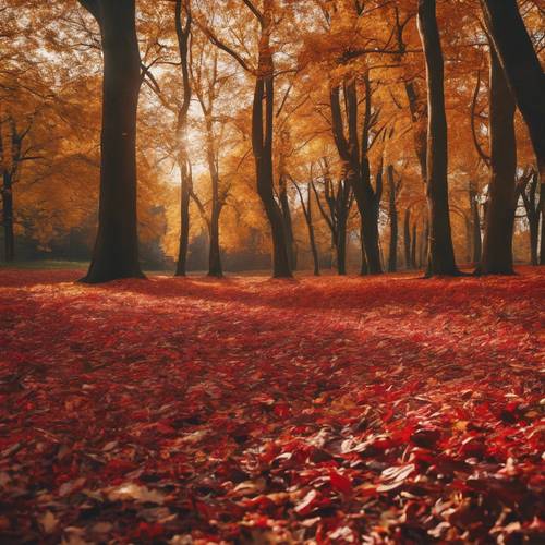 An autumn scene of the Vienna Woods, carpeted in red and gold leaves. Tapeta na zeď [6174ed302c2e4be293a3]