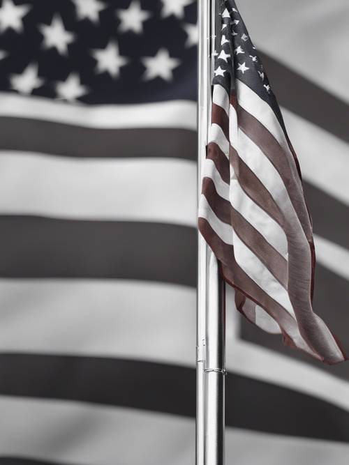 A bandeira americana em um mastro, representada em tons de cinza.