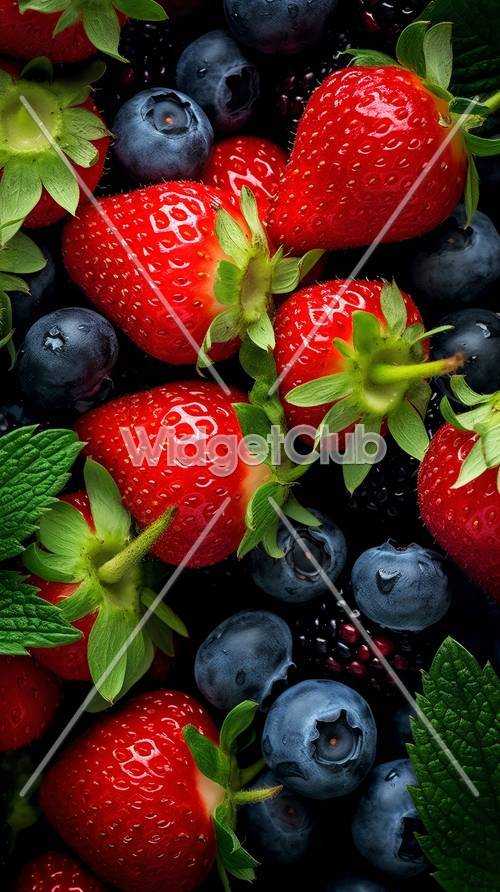 Bright and Juicy Berries