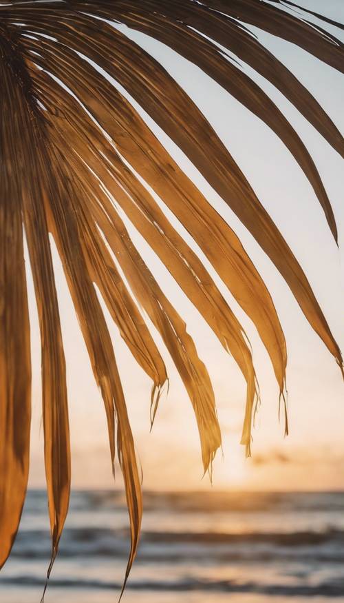 Uma grande folha de palmeira dourada cobrindo parcialmente a vista de um pôr do sol tropical.