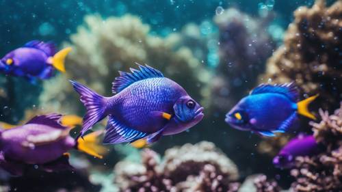 A lively underwater scene showing a school of vibrant blue and purple fish.