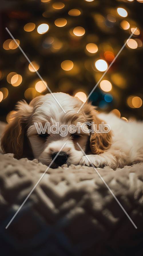 眠たい子犬とキラキラ光るライト