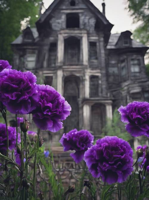 在鬼屋的背景下，一束濃鬱的黑色康乃馨、大馬士革玫瑰和紫色鳶尾花。